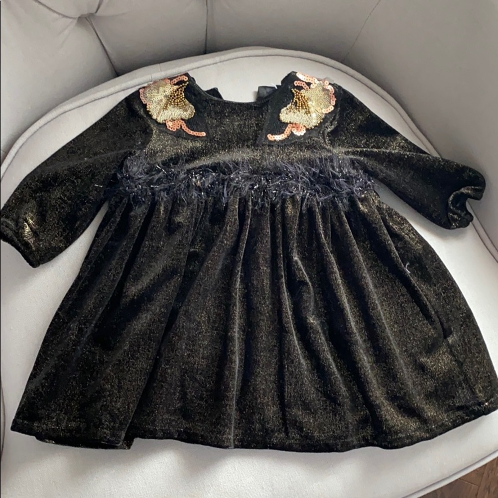 Black velvet w gold specks